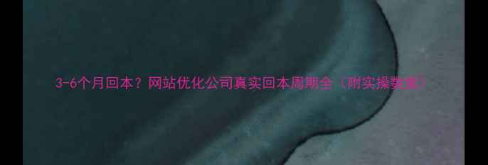 图片 3-6个月回本？网站优化公司真实回本周期全（附实操数据）