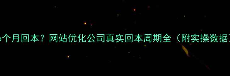 图片 3-6个月回本？网站优化公司真实回本周期全（附实操数据）1
