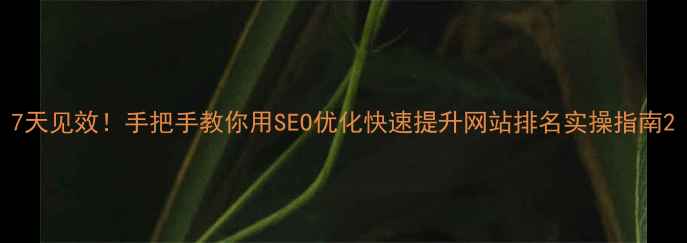 图片 7天见效！手把手教你用SEO优化快速提升网站排名实操指南2