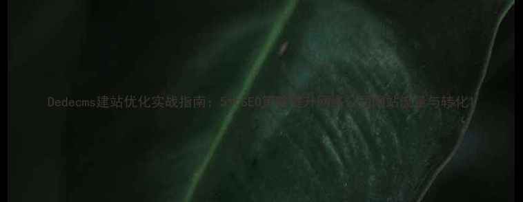 图片 Dedecms建站优化实战指南：5大SEO策略提升网络公司网站流量与转化1