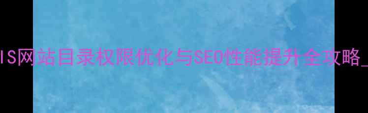 图片 IIS网站目录权限优化与SEO性能提升全攻略_1