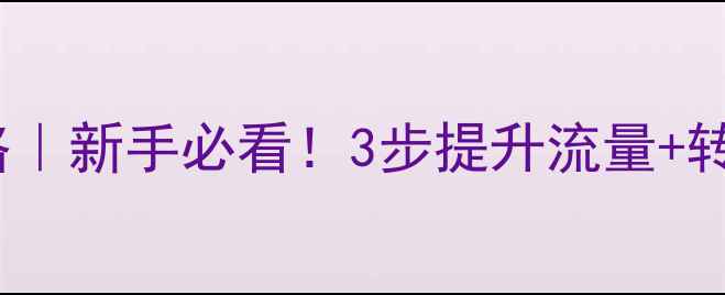 图片 SEO网站优化全攻略｜新手必看！3步提升流量+转化率，附实操案例