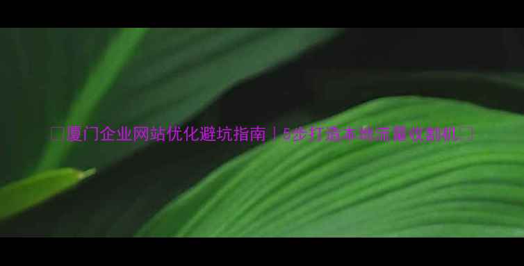 图片 ✨厦门企业网站优化避坑指南｜5步打造本地流量收割机💥