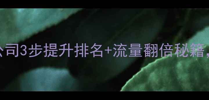 图片 ✨大连网站优化公司3步提升排名+流量翻倍秘籍，中小企业必看！