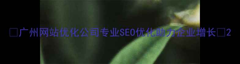 图片 ✨广州网站优化公司专业SEO优化助力企业增长✨2
