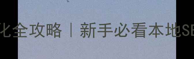 图片 ✨河北网站优化全攻略｜新手必看本地SEO实操指南🔥2