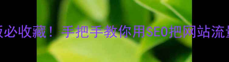 图片 ✨海阳老板必收藏！手把手教你用SEO把网站流量翻3倍✨2