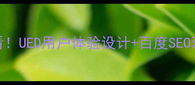 图片 ✨网站优化必看！UED用户体验设计+百度SEO双效提升指南✨