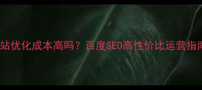 图片 ✨网站优化成本高吗？百度SEO高性价比运营指南✨2