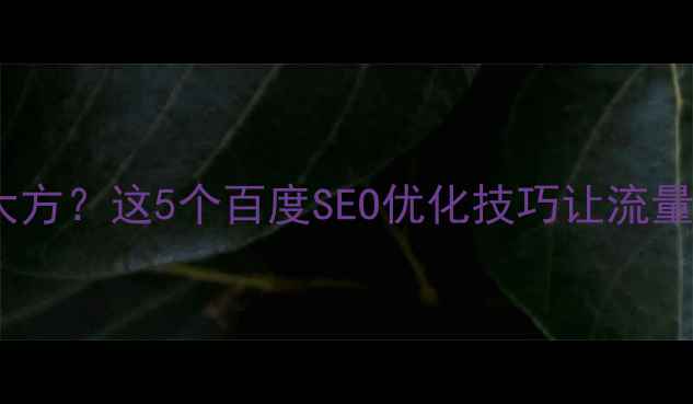 图片 ✨网站设计美观大方？这5个百度SEO优化技巧让流量翻倍！附案例✨1