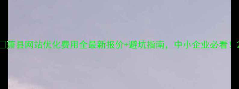 图片 ✨萧县网站优化费用全最新报价+避坑指南，中小企业必看！2
