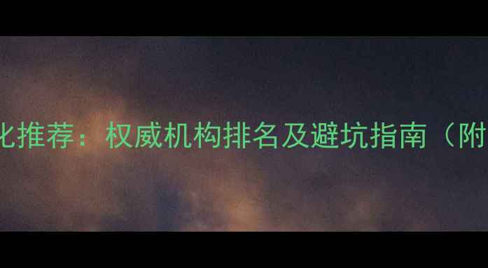 图片 上海网站优化推荐：权威机构排名及避坑指南（附免费诊断）1