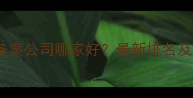 图片 上海网站备案公司哪家好？最新排名及避坑指南2