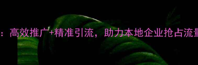 图片 东营网站优化活动公司：高效推广+精准引流，助力本地企业抢占流量高地（附实战案例）1
