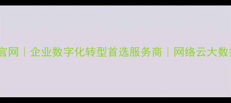 图片 中国电信万维公司官网｜企业数字化转型首选服务商｜网络云大数据一站式解决方案1