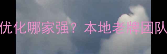 图片 乌海做网站优化哪家强？本地老牌团队亲测有效！
