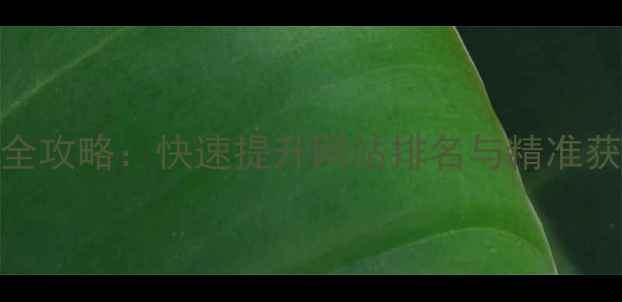 图片 乐昌本地SEO优化全攻略：快速提升网站排名与精准获客的5大核心策略