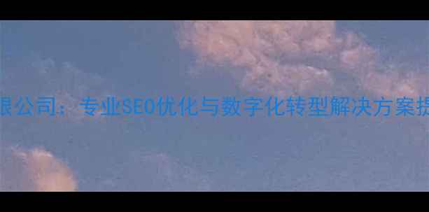 图片 互联网服务有限公司：专业SEO优化与数字化转型解决方案提供商（北京）