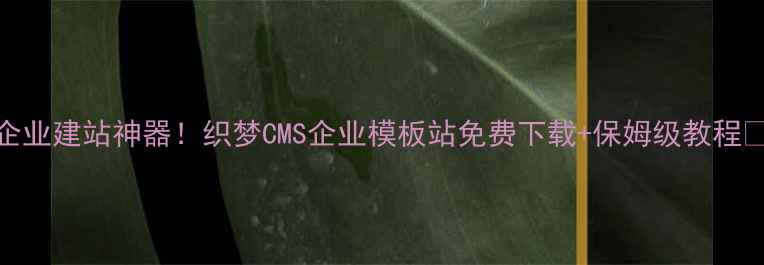 图片 企业建站神器！织梦CMS企业模板站免费下载+保姆级教程🔥