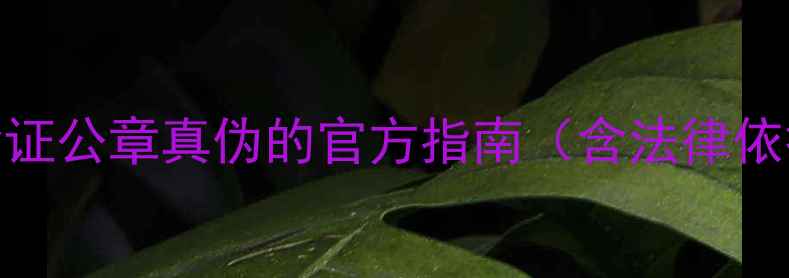 图片 企业必读！5步验证公章真伪的官方指南（含法律依据与风险提示）2