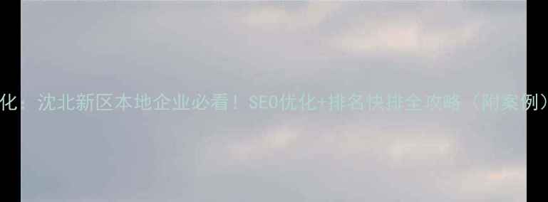 图片 优化：沈北新区本地企业必看！SEO优化+排名快排全攻略（附案例）1