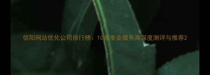 图片 信阳网站优化公司排行榜：10家专业服务商深度测评与推荐2