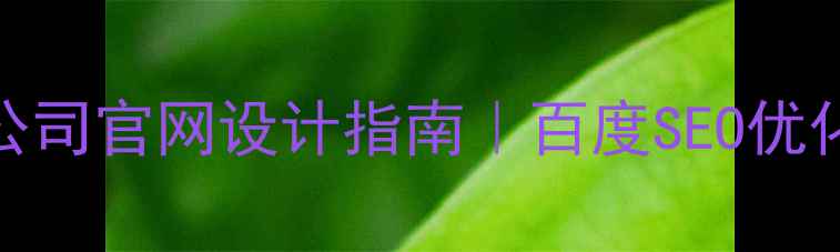 图片 全网最全网络安全公司官网设计指南｜百度SEO优化+模板资源免费领2