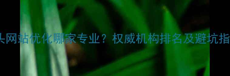 图片 包头网站优化哪家专业？权威机构排名及避坑指南1