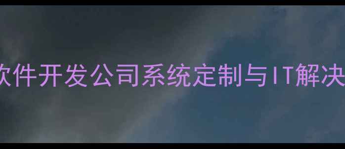 图片 北京专业软件开发公司系统定制与IT解决方案专家1