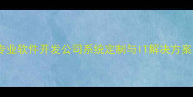 图片 北京专业软件开发公司系统定制与IT解决方案专家2