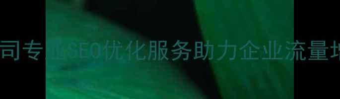 图片 北京网站优化公司专业SEO优化服务助力企业流量增长转化率提升2