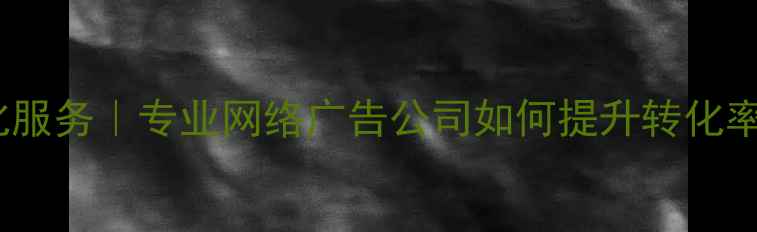 图片 北京网站优化服务｜专业网络广告公司如何提升转化率（含案例）2