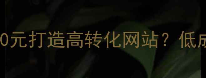 图片 十堰中小企业如何用3000元打造高转化网站？低成本SEO优化设计全攻略1