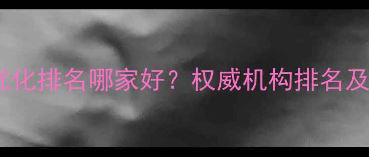 图片 南通网站优化排名哪家好？权威机构排名及避坑指南1