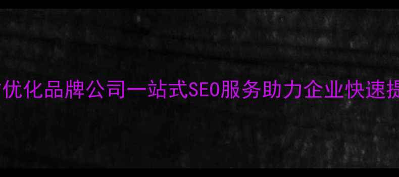 图片 合肥专业网站优化品牌公司一站式SEO服务助力企业快速提升本地排名2