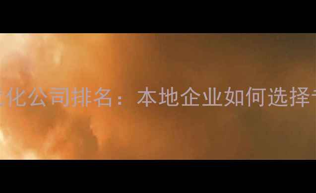 图片 合肥网站优化公司排名：本地企业如何选择专业服务商