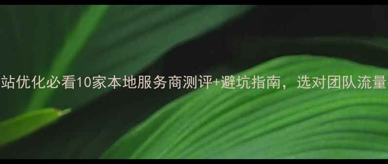 图片 吉林网站优化必看10家本地服务商测评+避坑指南，选对团队流量翻倍！