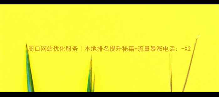 图片 周口网站优化服务｜本地排名提升秘籍+流量暴涨电话：-X2