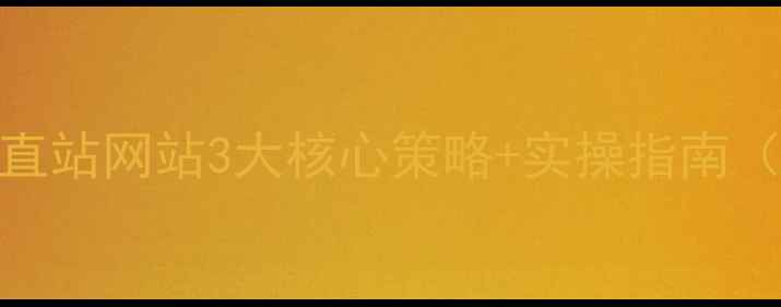 图片 品牌垂直站网站3大核心策略+实操指南（完整）