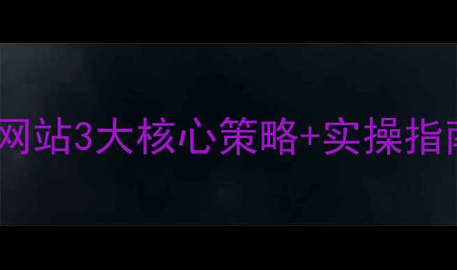 图片 品牌垂直站网站3大核心策略+实操指南（完整）1