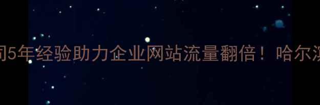 图片 哈尔滨网站优化专家｜公司5年经验助力企业网站流量翻倍！哈尔滨网站维护+SEO优化全攻略