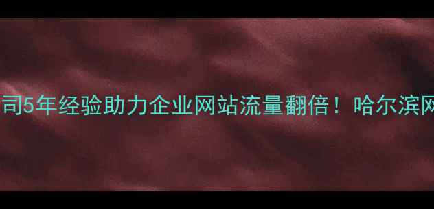 图片 哈尔滨网站优化专家｜公司5年经验助力企业网站流量翻倍！哈尔滨网站维护+SEO优化全攻略2