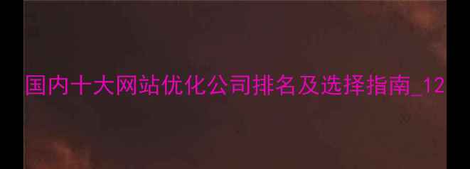 图片 国内十大网站优化公司排名及选择指南_12