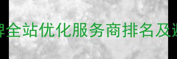 图片 国内品牌全站优化服务商排名及避坑指南