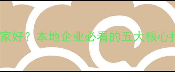 图片 大丰网站优化哪家好？本地企业必看的五大核心指标与避坑指南1