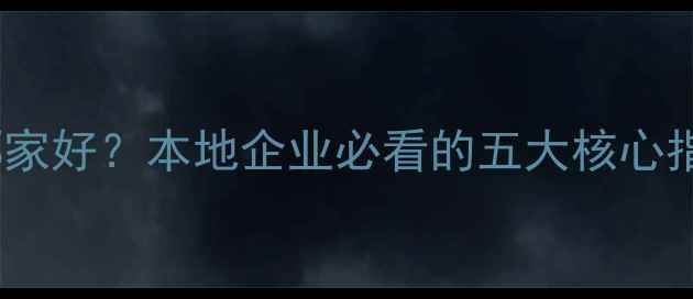 图片 大丰网站优化哪家好？本地企业必看的五大核心指标与避坑指南2
