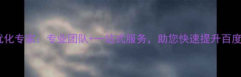 图片 大港地区网站优化专家：专业团队+一站式服务，助您快速提升百度排名与转化率1