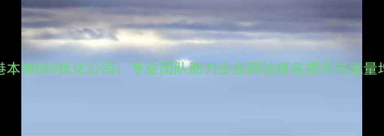 图片 大港本地SEO优化公司：专业团队助力企业网站排名提升与流量增长