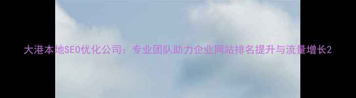 图片 大港本地SEO优化公司：专业团队助力企业网站排名提升与流量增长2