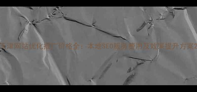 图片 天津网站优化推广价格全：本地SEO服务费用及效果提升方案2